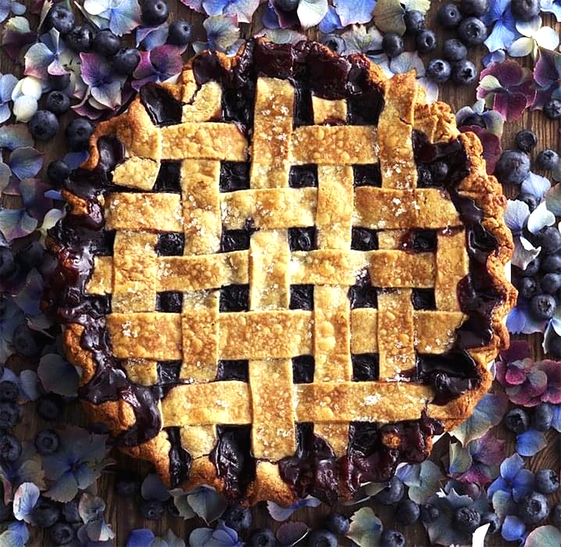 homemade lattice blueberry pie alyssa wernick food stylist styling dallas tx