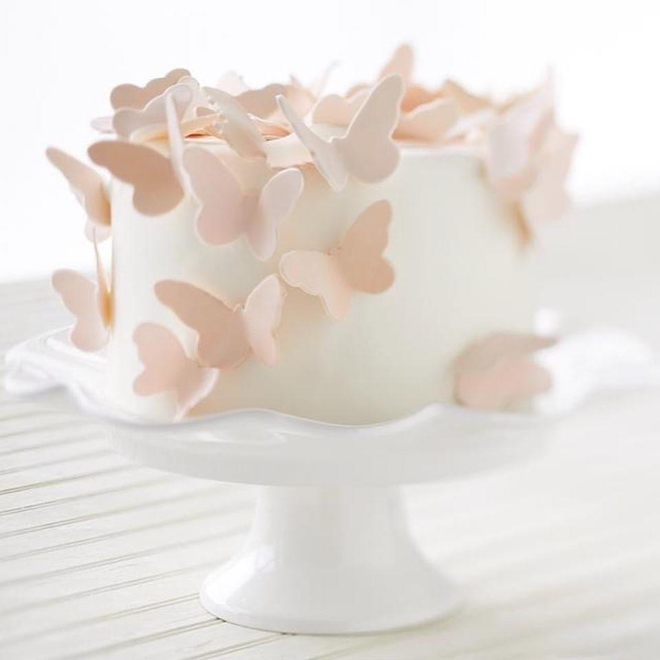 white fondant cake with gum paste butterflies alyssa wernick food stylist styling dallas tx